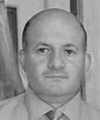 Öykü Ergin